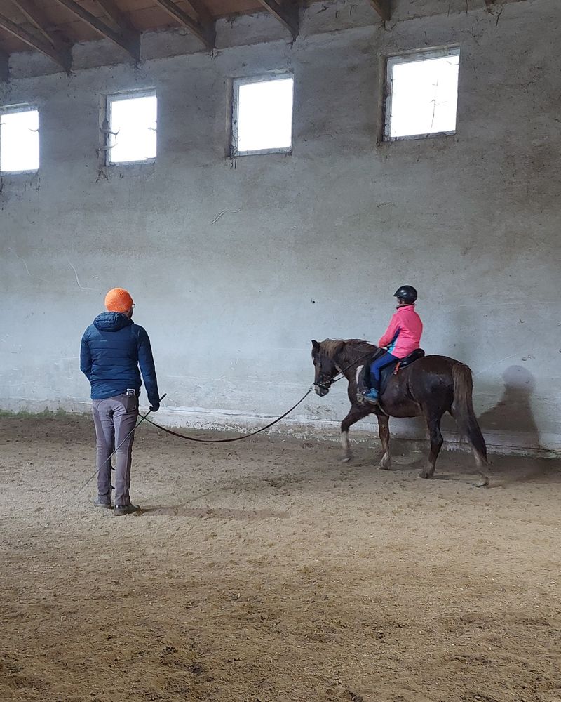 Sitzschulung an der Longe mit Islandpferd