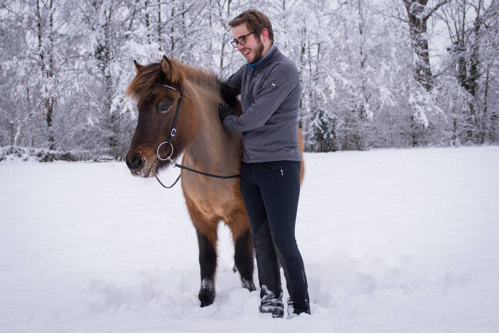 Jonas Dattler beim Beritt eines Islandpferdes