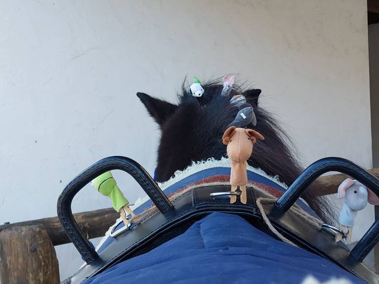 Achtsamkeit und Ruhe in der Arbeit mit dem Pferd erleben