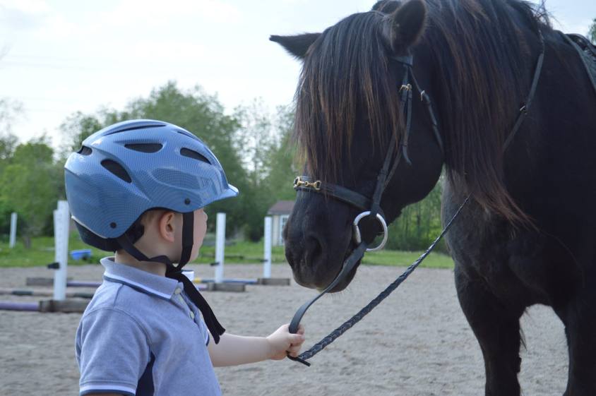 Ausbildung eines Therapiepferdes mit Kind an der Hand