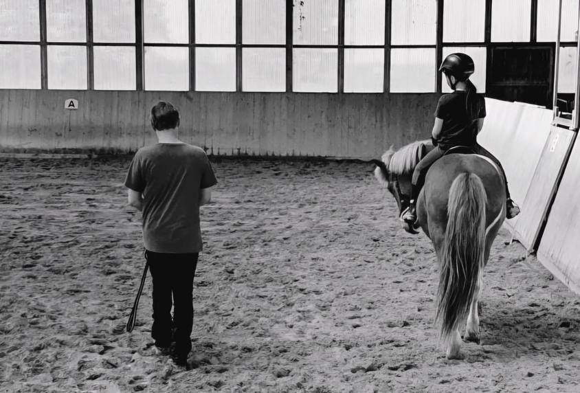 Begleitung in der Ausbildung von Reiter und Pferd
